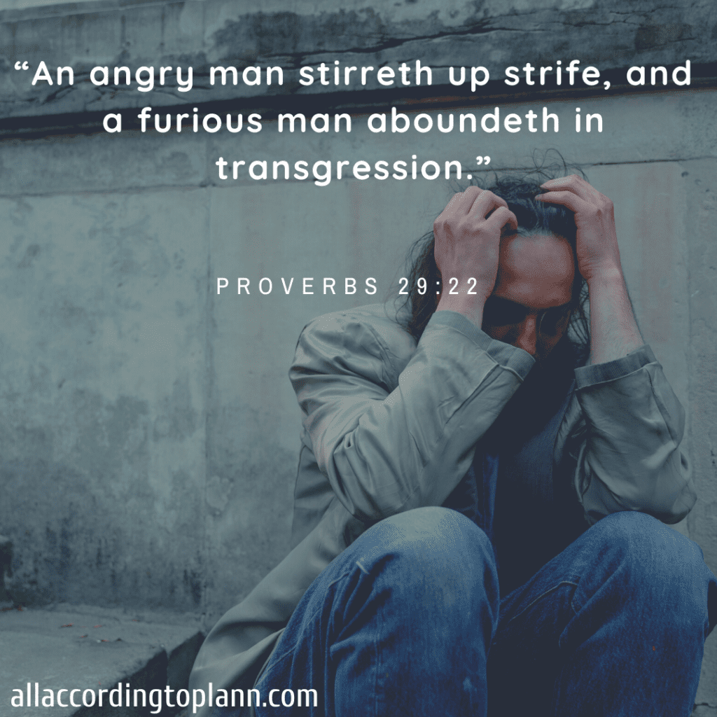 “An angry man stirreth up strife, and a furious man aboundeth in transgression.”-Proverbs 29:22 