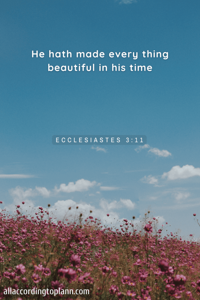 Ecclesiastes 3:11
