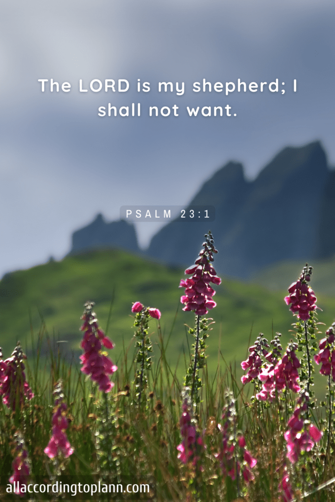 Psalm 23:1