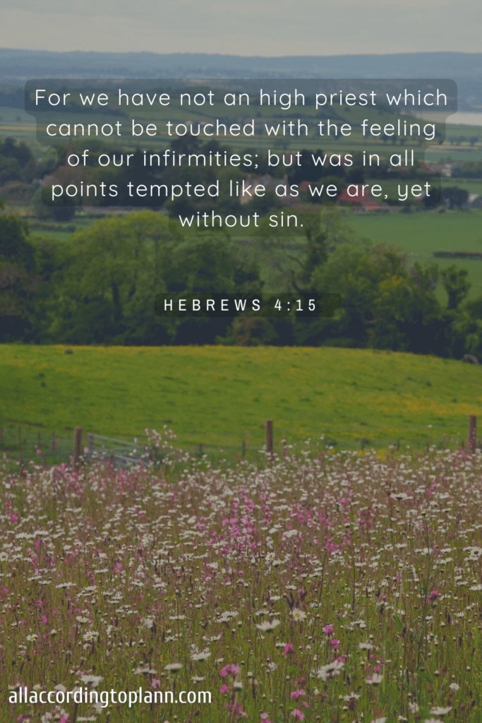 Hebrews 4:15  