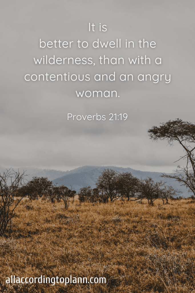 Proverbs 21:19